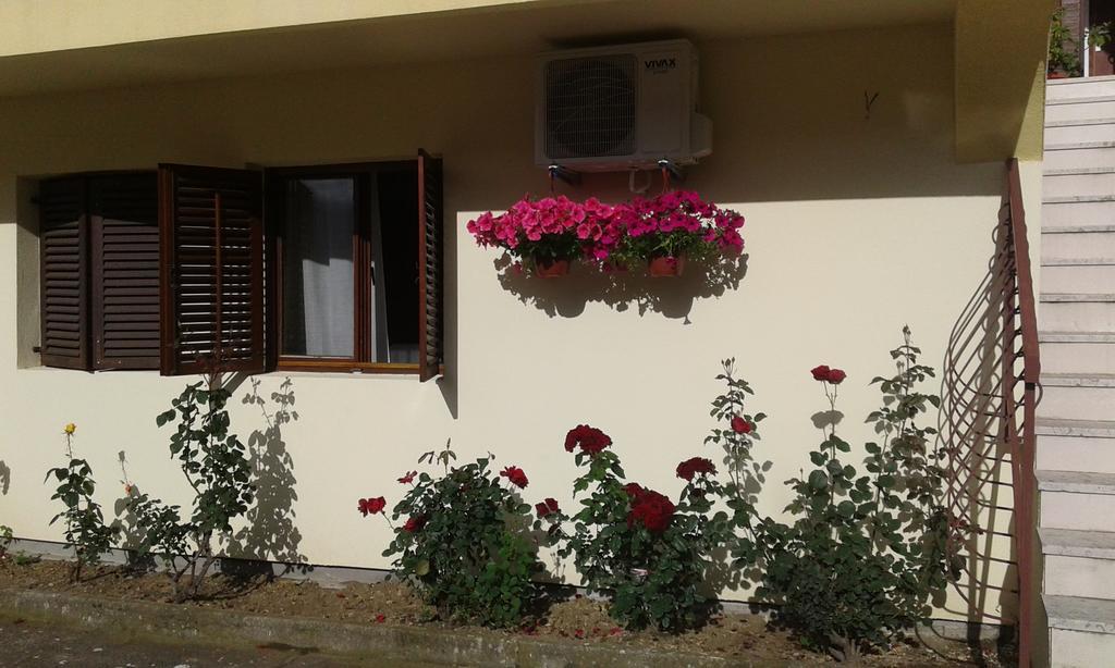 Apartment Adela Kotor Bagian luar foto
