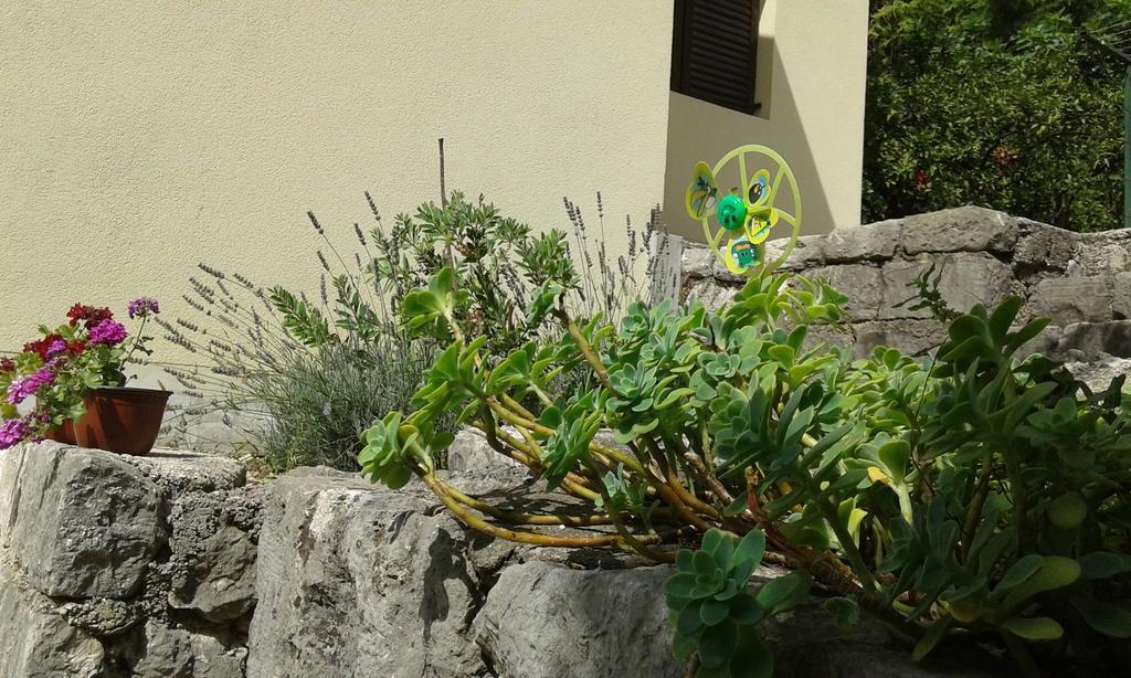 Apartment Adela Kotor Bagian luar foto