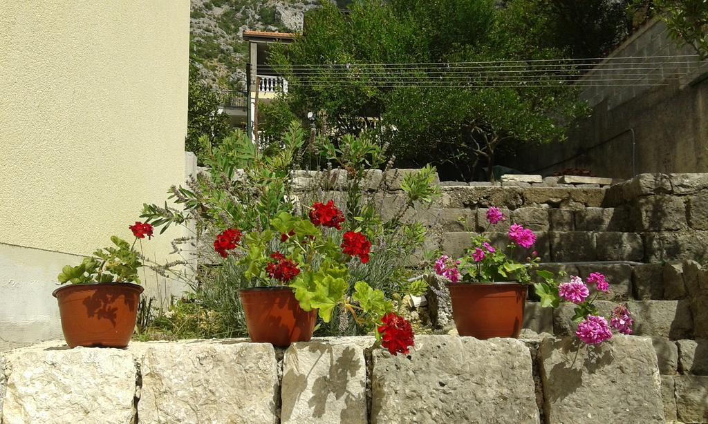 Apartment Adela Kotor Bagian luar foto